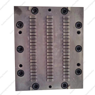 Injection Mold Put In Nylon Thermal Barrier Strip Extruding Machine